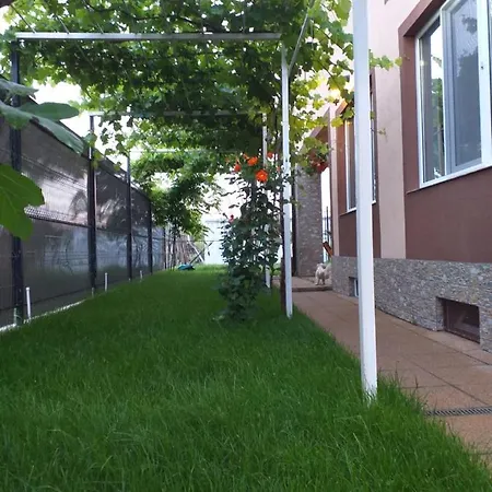 Guest house Vila Mercury Mamaia Nord