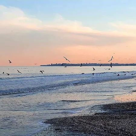 Vila Mercury Mamaia Nord Guest house